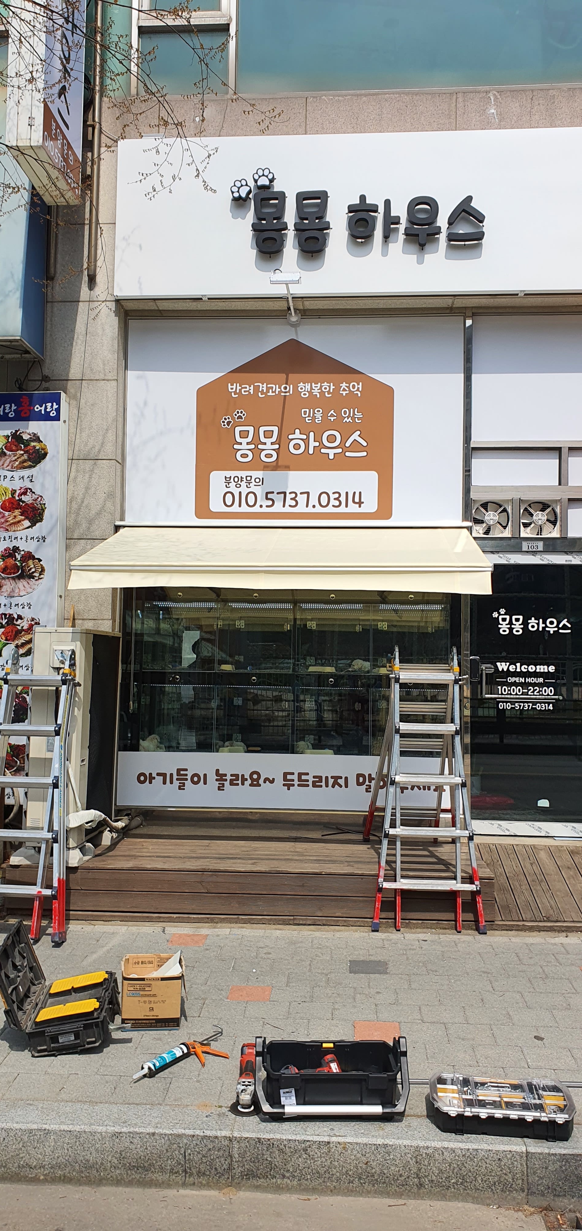 애견1 (1).jpg